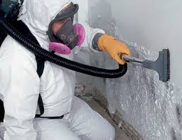 Best Mold Damage Restoration in USA